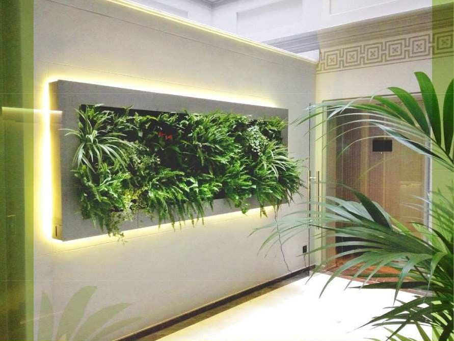 wallvita
