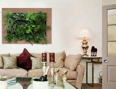 wallvita